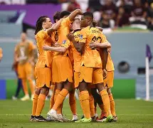 荷兰2比三输捷克阵容